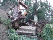 Victoria home after windstorm