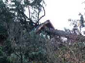 Victoria home after windstorm