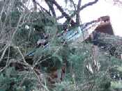 Victoria home after windstorm
