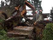 Victoria home after windstorm