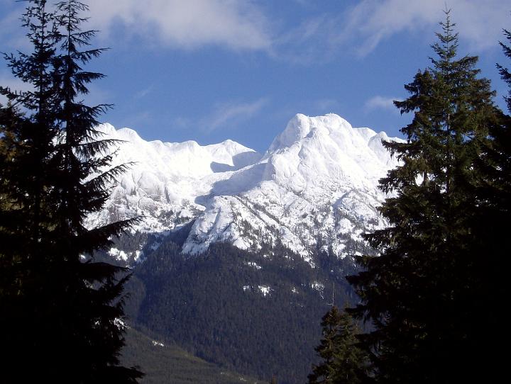 landscape1.JPG